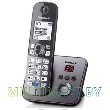 Радиотелефон Panasonic KX-TG6821RUM
